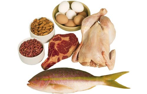 chicken and meat